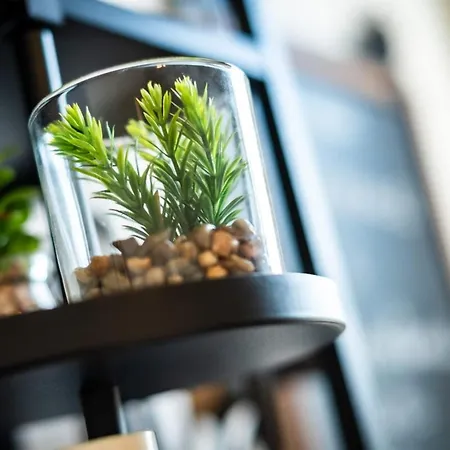 Gary Joli F2 Au Pied De La Gare De Appartamento Rouen