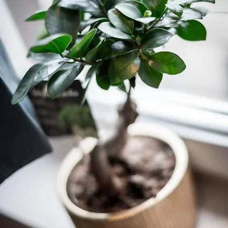 Gary Joli F2 Au Pied De La Gare De * Rouen