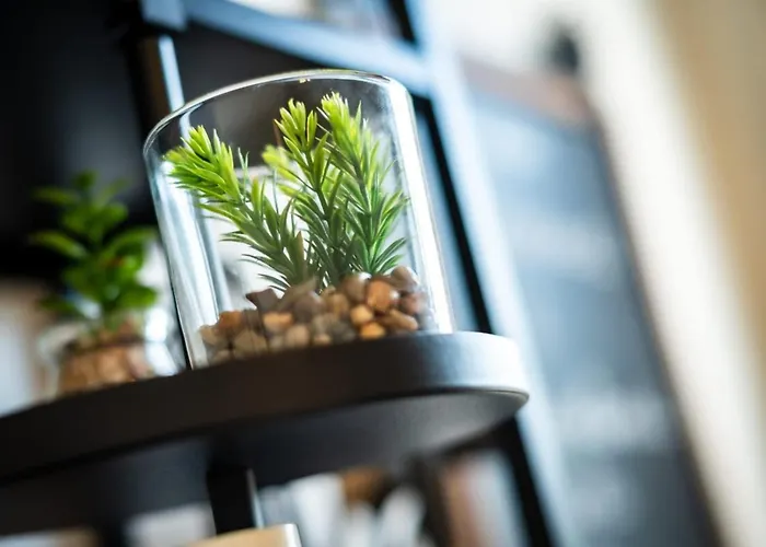 Gary Joli F2 Au Pied De La Gare De Apartment Rouen