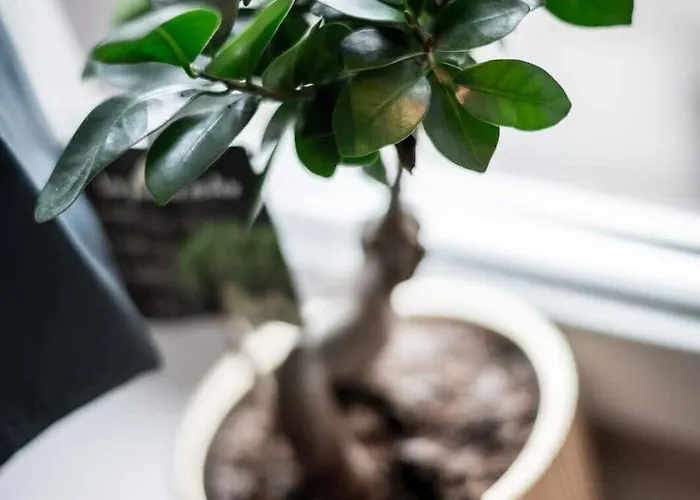 Gary Joli F2 Au Pied De La Gare De * Rouen